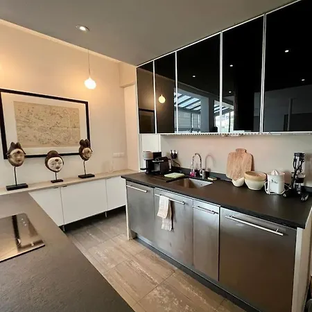 Designer Loft Place Des Vosges * باريس