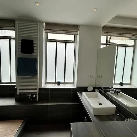 Designer Loft Place Des Vosges باريس