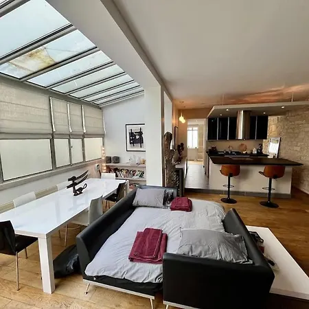 Designer Loft Place Des Vosges شقة